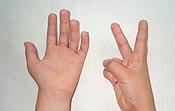 Seven fingers