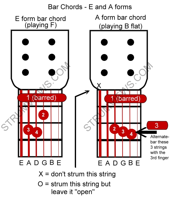 Bar chords E and A forms