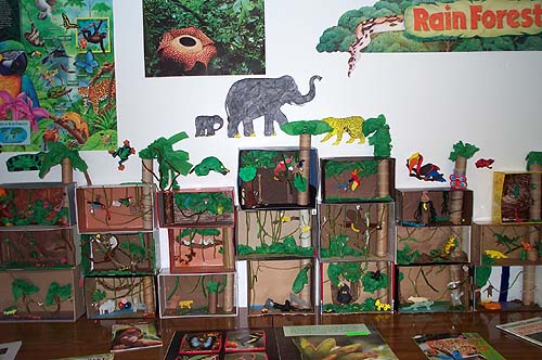 Rain Forest Dioramas