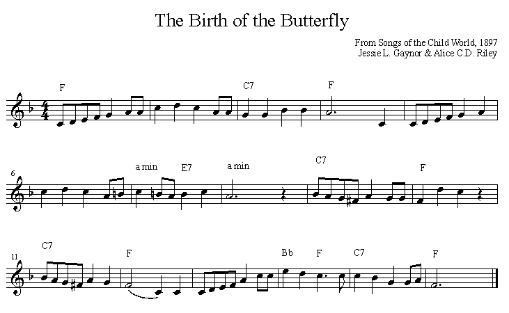 The Birth of the Butterfly 
