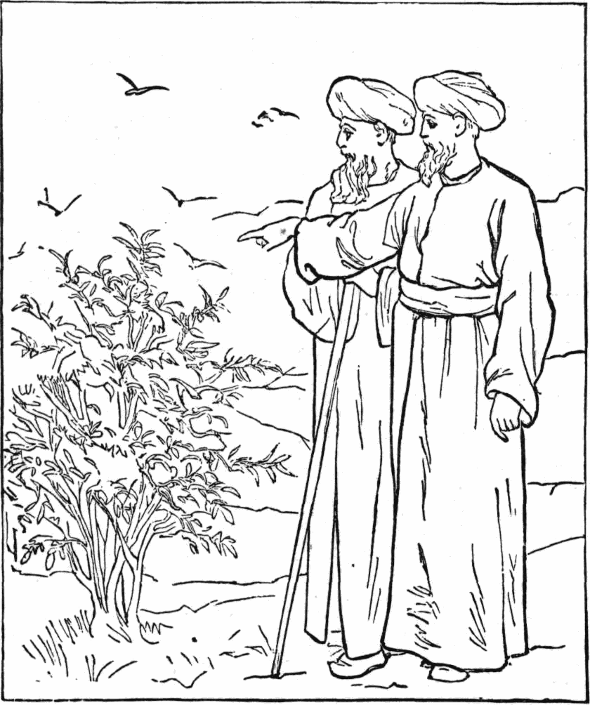 8400 Top Bible Coloring Pages Mustard Seed Download Free Images