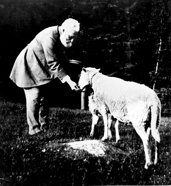 Alexander Graham Bell feeding a sheep