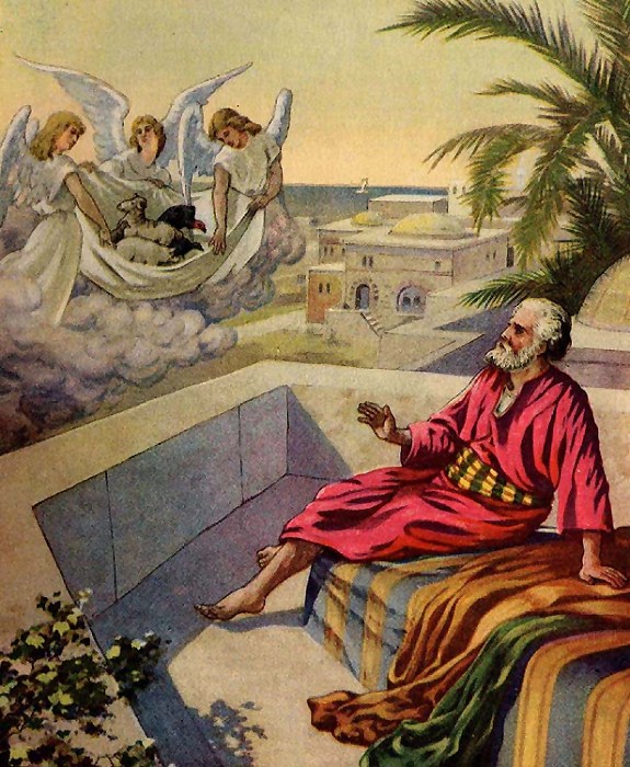 Garden of Praise: Peter's Vision Bible Story